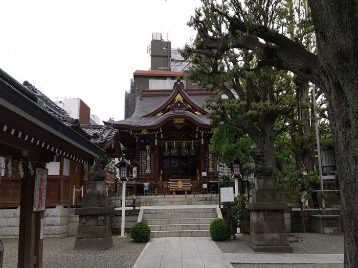 DSC_1440_R-e1688183881120